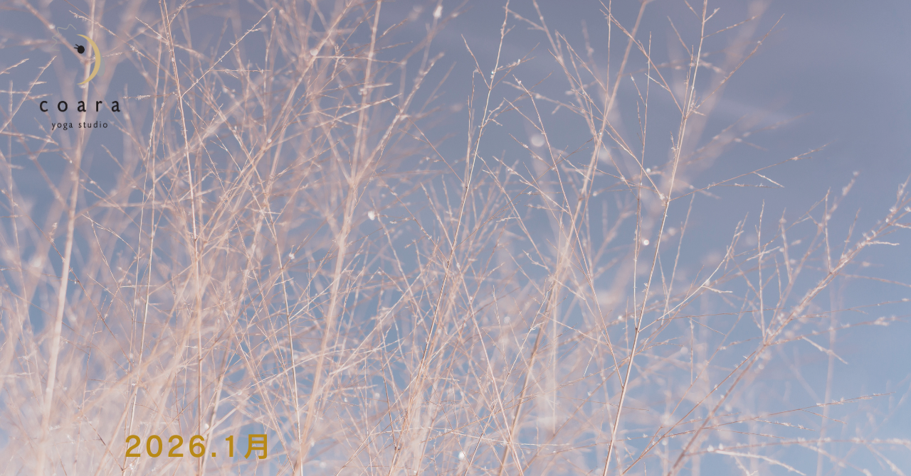 2026年1月のスケジュール