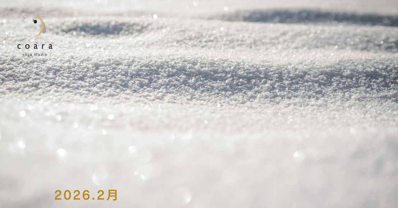 2月のスケジュールを公開しました