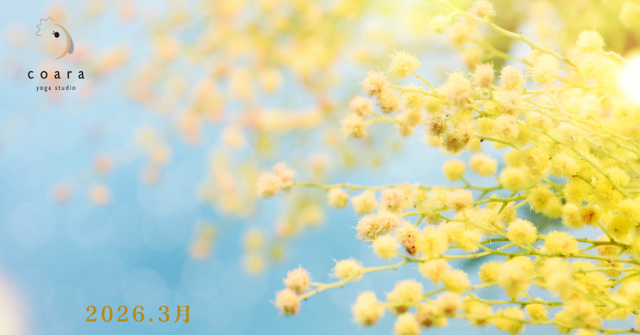 3月のスケジュールを公開しました