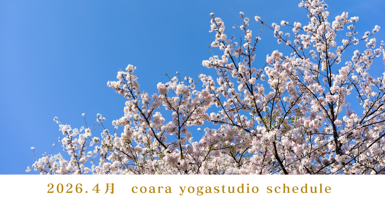 4月のスケジュールを公開しました