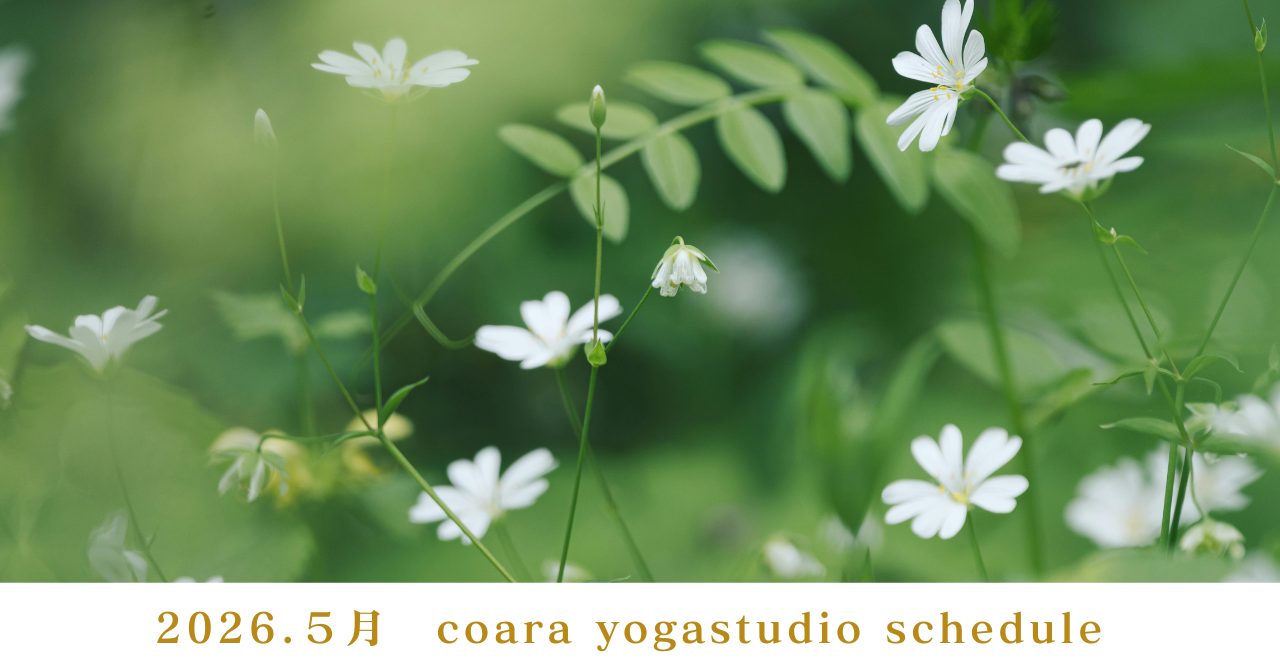 ５月のスケジュールを変更しました